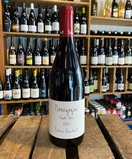 ANTOINE LIENHARDT - PINOT NOIR - BOURGOGNE - 2023