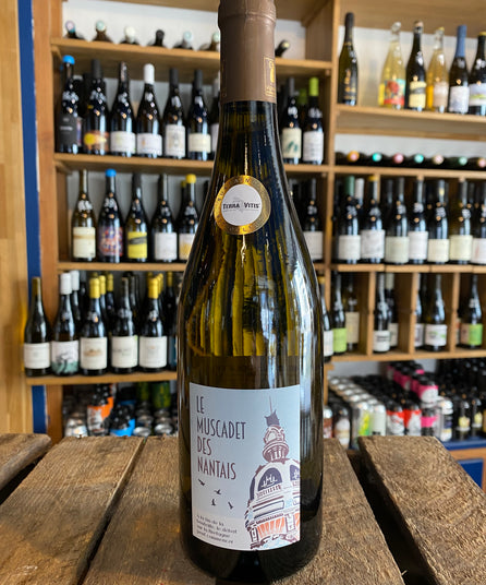 DOMAINE DE LA FOLIETTE - LE MUSCADET DES NANTAIS 2023