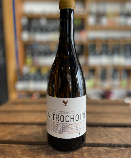 DOMAINE DE LA TROCHOIRE - ELISABETH - CHINON - 2022