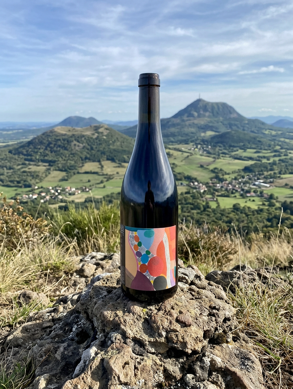 Coup de coeur : Mol 2021 Domaine de la Bohème